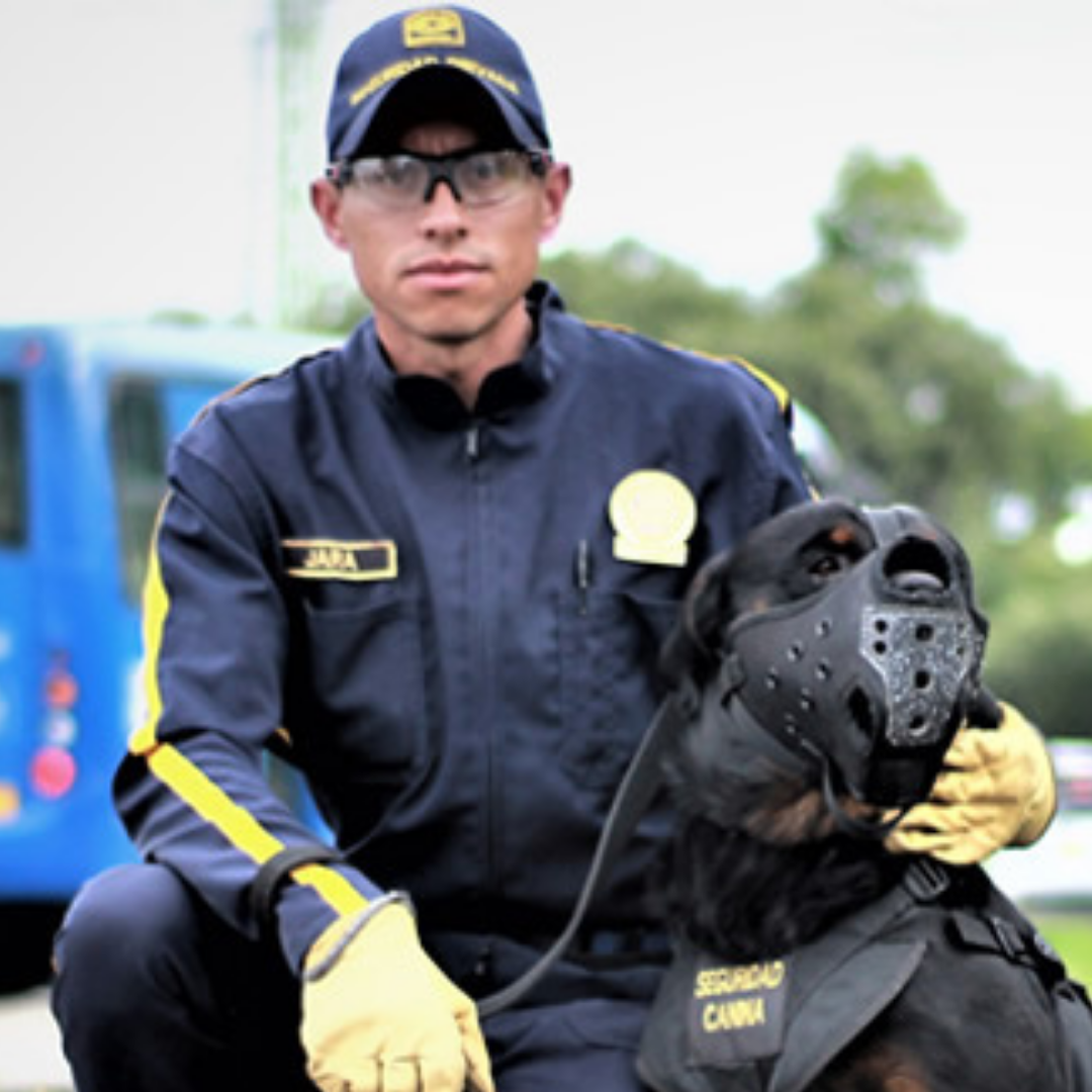 VIGILANCIA CANINA