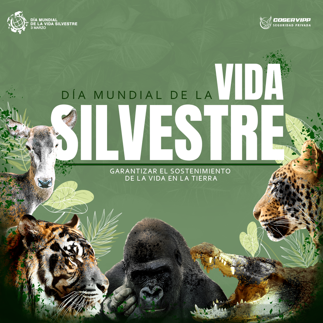 DÍA MUNDIAL DE LA VIDA SILVESTRE